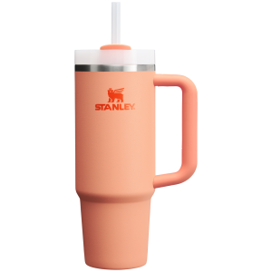 The Quencher H2.0 Flowstate   Tumbler | 30 OZ