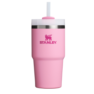 The Quencher H2.0 FlowState   Tumbler | 20 OZ - Stanley Create